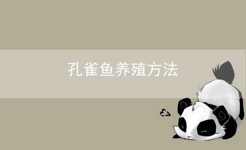 孔雀鱼养殖方法