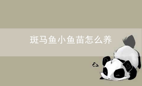 斑马鱼小鱼苗怎么养