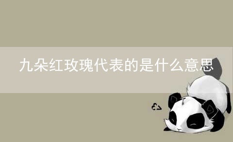 九朵红玫瑰代表的是什么意思