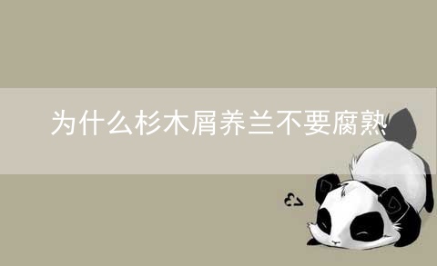 为什么杉木屑养兰不要腐熟