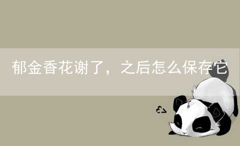 郁金香花谢了，之后怎么保存它