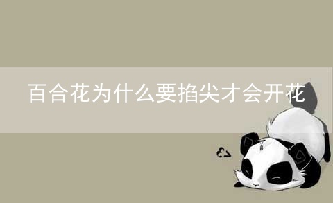 百合花为什么要掐尖才会开花