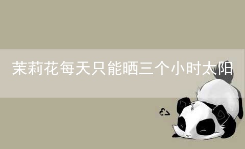 茉莉花每天只能晒三个小时太阳