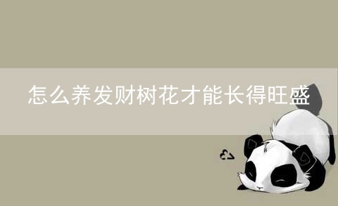 怎么养发财树花才能长得旺盛