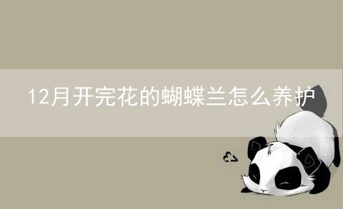 12月开完花的蝴蝶兰怎么养护