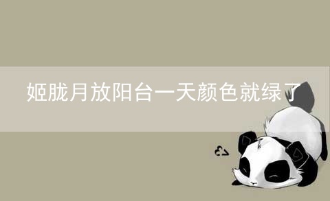 姬胧月放阳台一天颜色就绿了