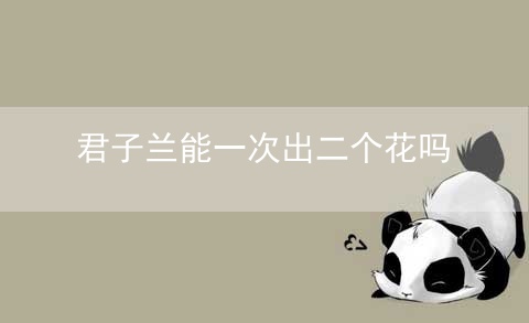 君子兰能一次出二个花吗