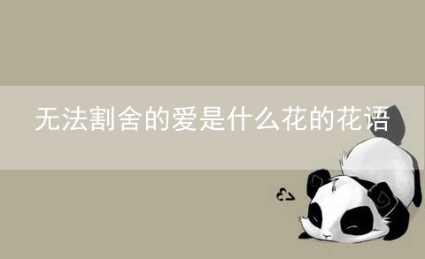 无法割舍的爱是什么花的花语