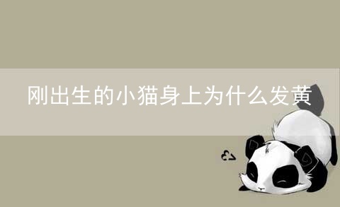 刚出生的小猫身上为什么发黄