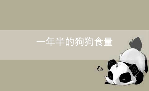 一年半的狗狗食量