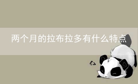 两个月的拉布拉多有什么特点