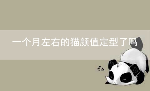 一个月左右的猫颜值定型了吗