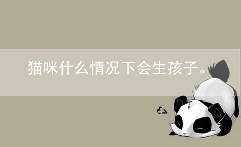 猫咪什么情况下会生孩子。