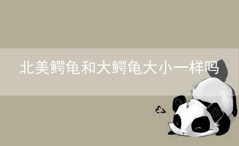 北美鳄龟和大鳄龟大小一样吗