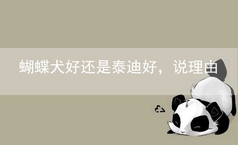 蝴蝶犬好还是泰迪好，说理由