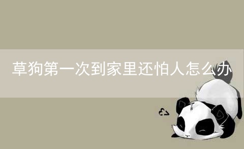 草狗第一次到家里还怕人怎么办