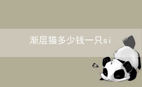 渐层猫多少钱一只si