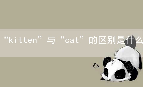 “kitten”与“cat”的区别是什么