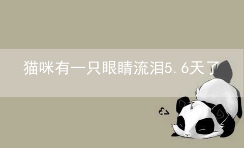 猫咪有一只眼睛流泪5.6天了