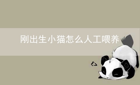 刚出生小猫怎么人工喂养