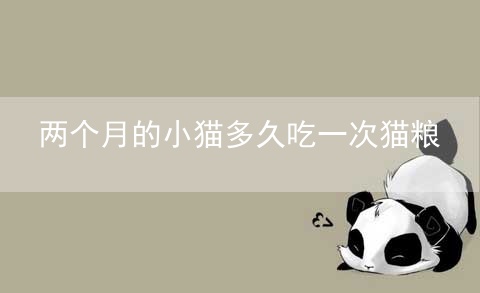 两个月的小猫多久吃一次猫粮