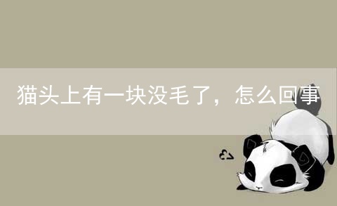 猫头上有一块没毛了，怎么回事