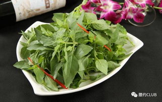 荆芥是薄荷的一种吗 荆芥跟薄荷怎么区分