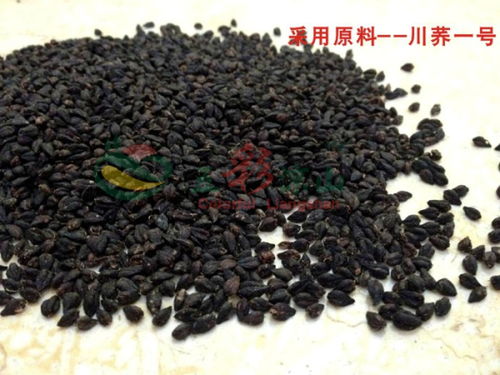 苦荞长什么样子图片 苦荞的形状图片