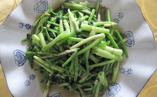 芹菜为什么和鸡肉相克 鸡肉芹菜为什么伤元气