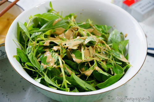 荆芥河南土话叫什么 荆芥是河南独有的吗