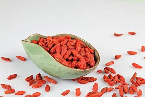 菊花分为哪三大类 菊花的类别