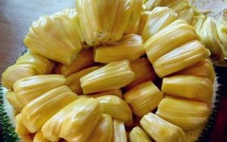 菠萝蜜旺季是几月份 女生为什么要少吃菠萝蜜