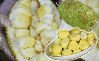 菠萝蜜和榴莲是亲戚吗 菠萝蜜为什么有榴莲味