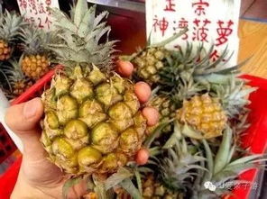 菠萝8月份有卖吗 菠萝大量上市是几月份