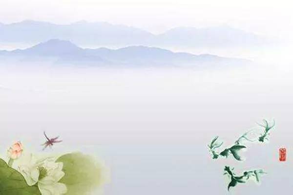 蒹葭苍苍,白露为霜 蒹葭苍苍代表啥意思