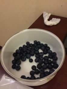 蓝莓一天吃多少粒最好 蓝莓可以一天吃一盒吗