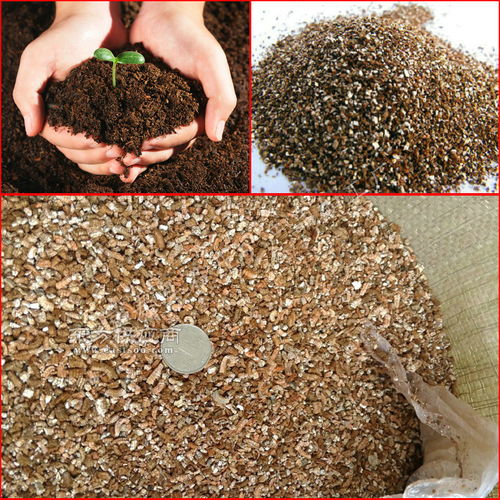 蛭石可以直接养花么 蛭石拌土养花利弊