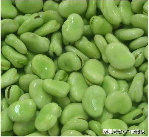 蚕豆是减肥还是增肥 吃蚕豆可以减肥吗