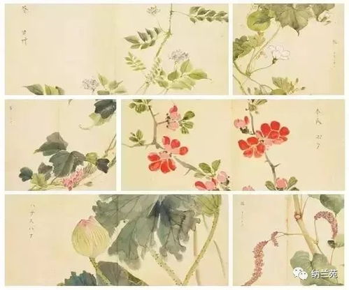 诗经中花的雅称 花的唯美叫法