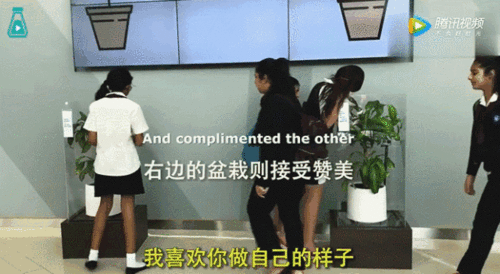 被骂死的植物实验骗局 对植物赞美和辱骂的实验