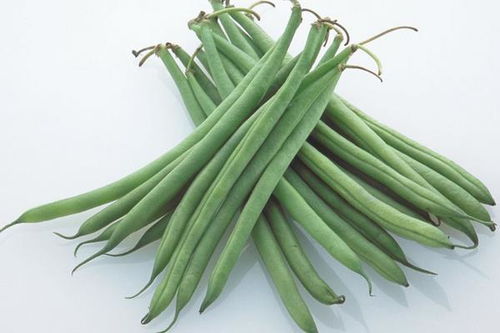 豇豆角和豆角的区别 为什么南方人叫豇豆为豆角