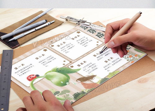 豆芽生长日记8天 黄豆1—7天成长记录表