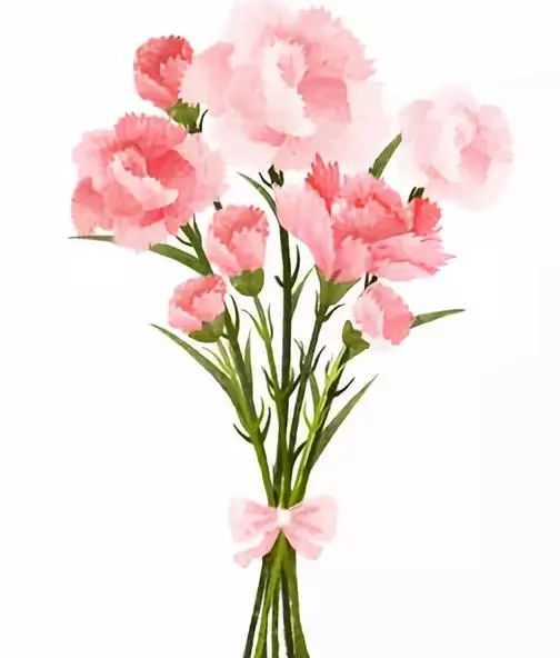 送老师花用什么花 送老师鲜花禁忌