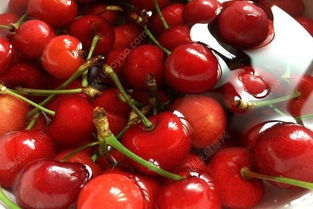 车厘子和樱桃有什么区别 车厘子是樱桃的一种吗