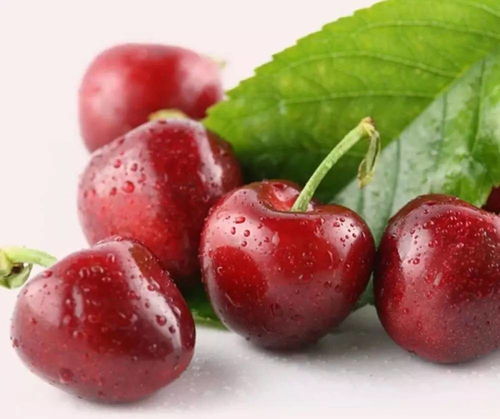 车厘子一般卖到几月 一天最多吃几颗车厘子