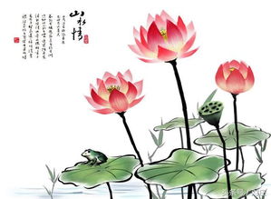 送人莲花的寓意 为什么送人不送荷花