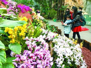 逛三园植物园 植物园里的100种植物