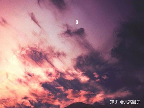 郁金香的绝美文案 郁金香文案短句干净