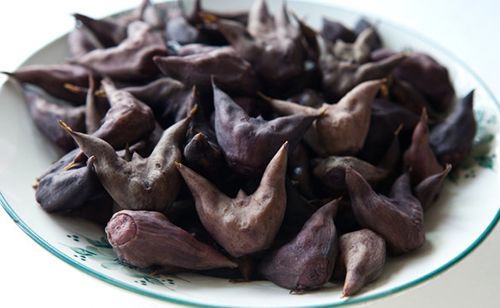 菱角为什么叫鬼见愁 现在为什么没人吃菱角了