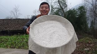 葛根土话叫什么 正宗葛根图片